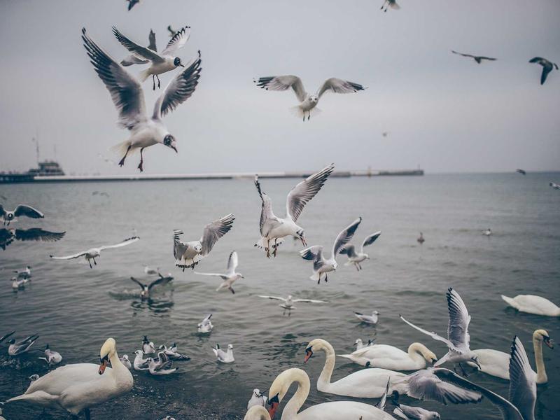 feedback screenshot 6